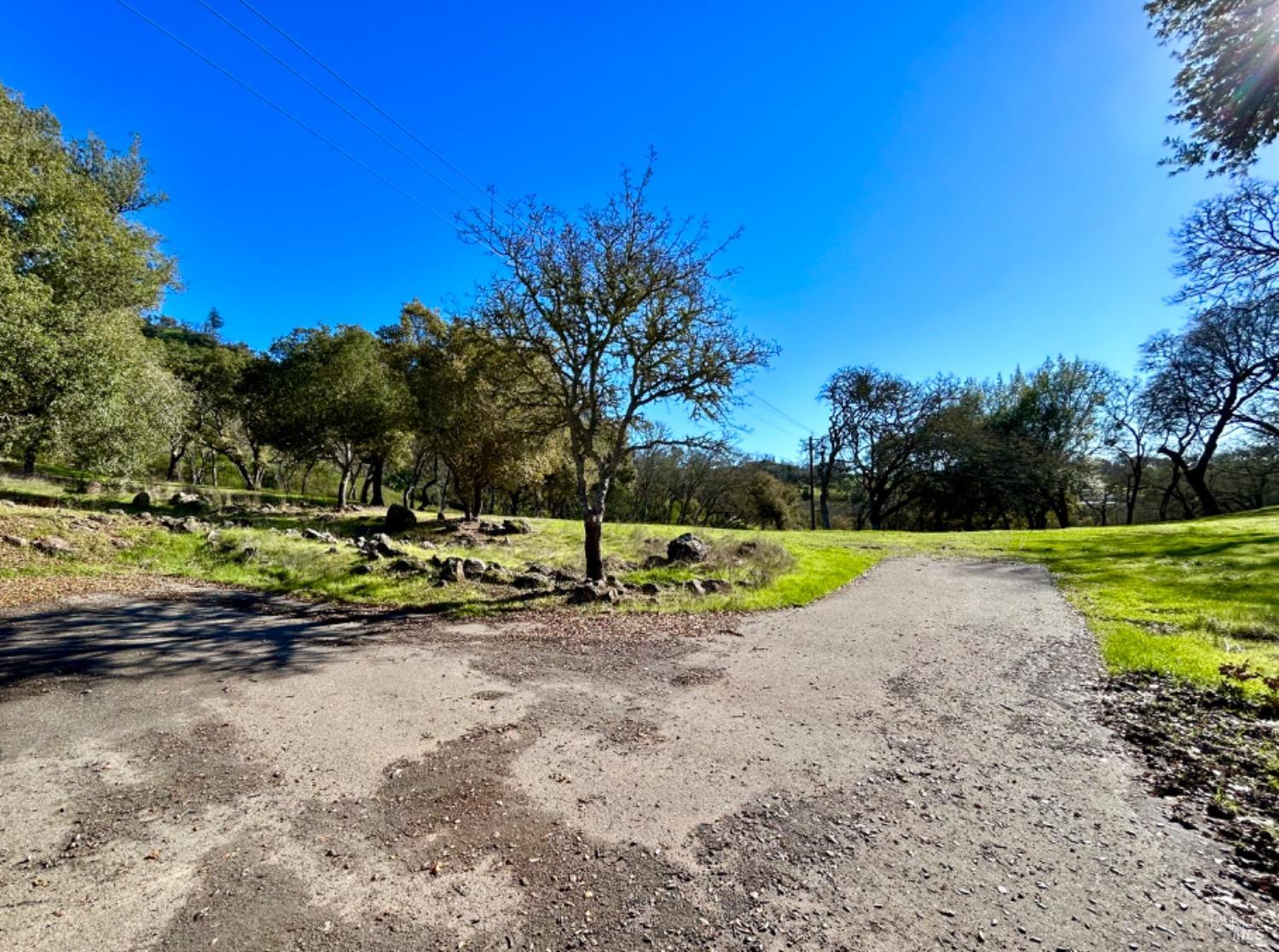 1860 Mark West Springs Road Santa Rosa, CA 95404 - Photo 5 of 38 a view of a park with plants and trees