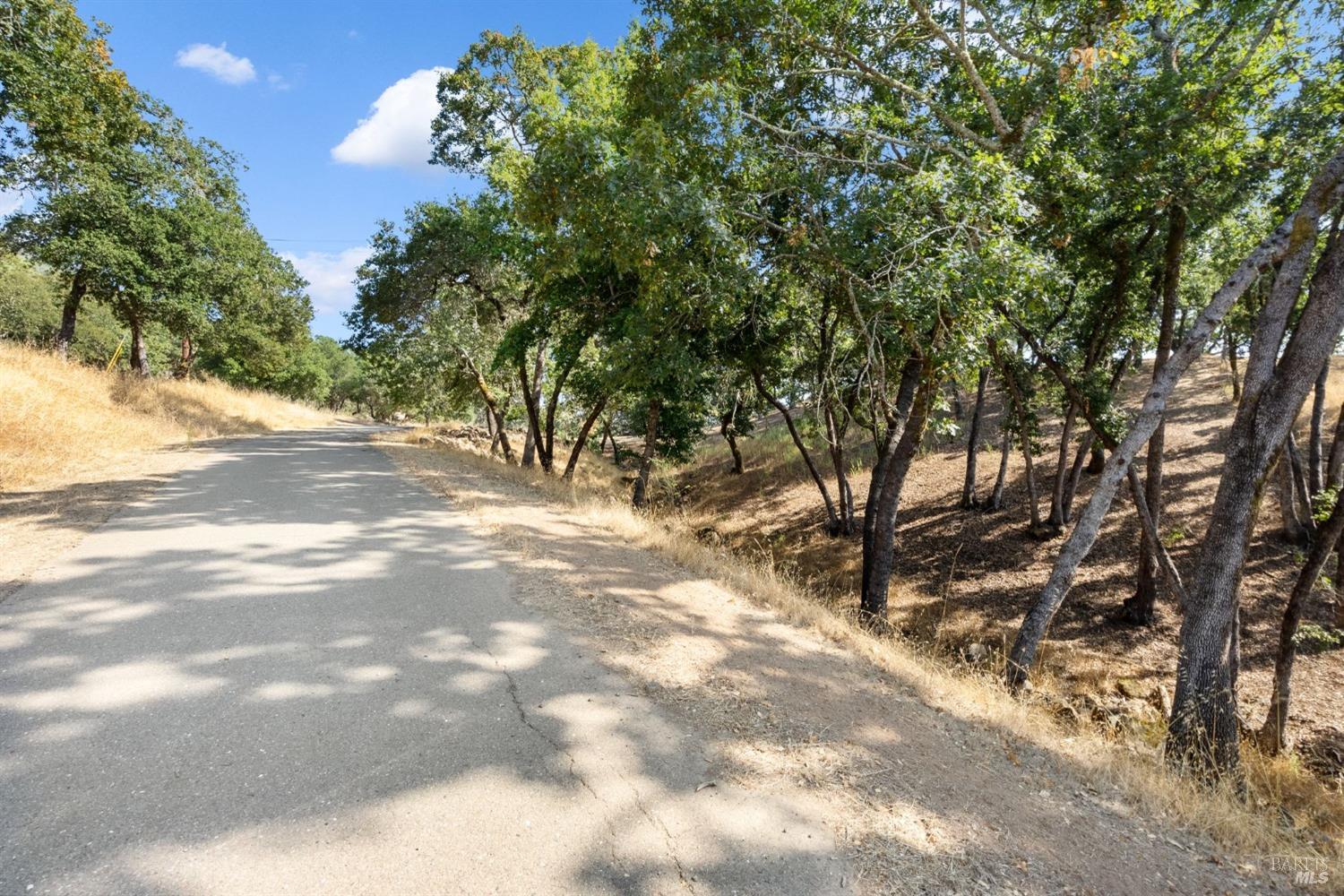 1860 Mark West Springs Road Santa Rosa, CA 95404 - Photo 9 of 38 a view of a yard with plants and trees
