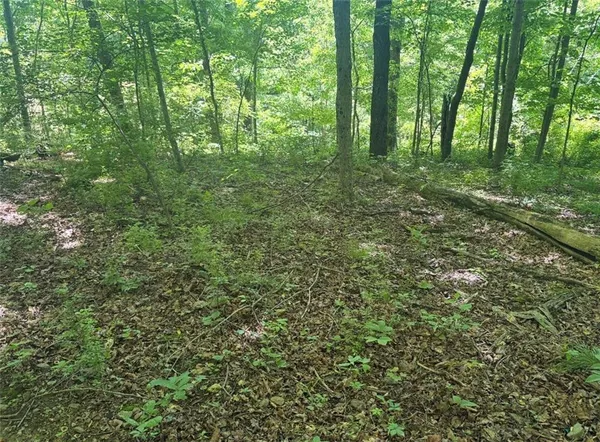 $28,000 | 0 Tr117-nr Woodside, Smithfield, PA 15478