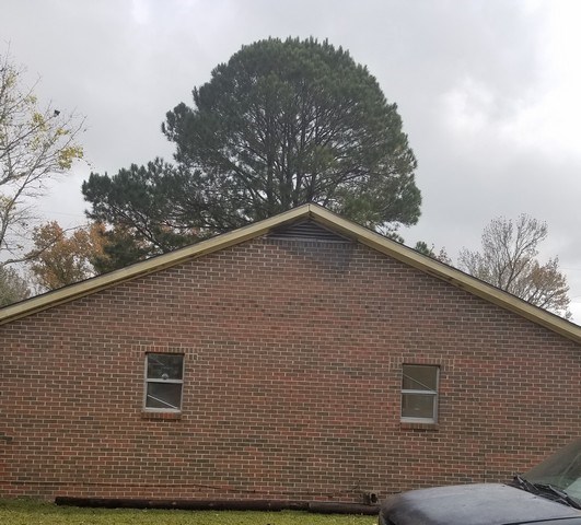 145 Renfroe Rd Union Springs Union Springs, AL 36089 - Photo 6 of 8 a backyard of a house