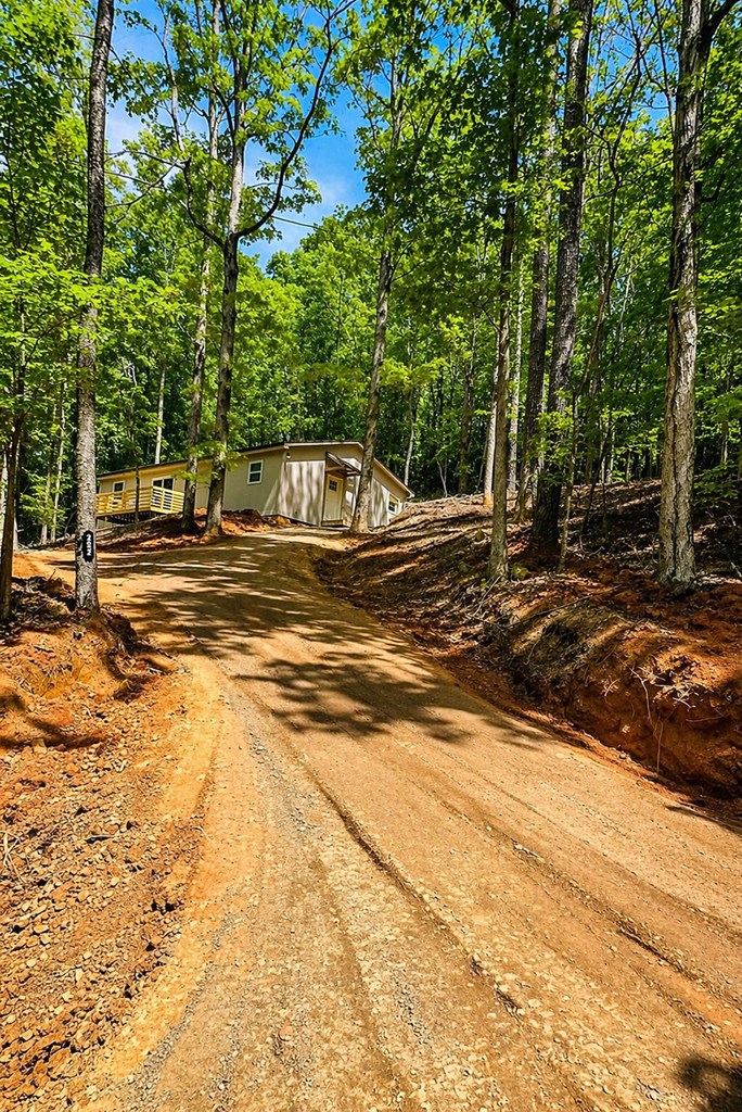 282 Armor Way North Ellijay, GA 30540 - Photo 13 of 24