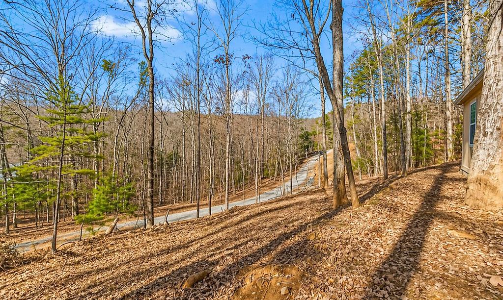 282 Armor Way North Ellijay, GA 30540 - Photo 24 of 24