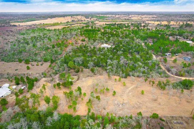 a view of a yard with a tree