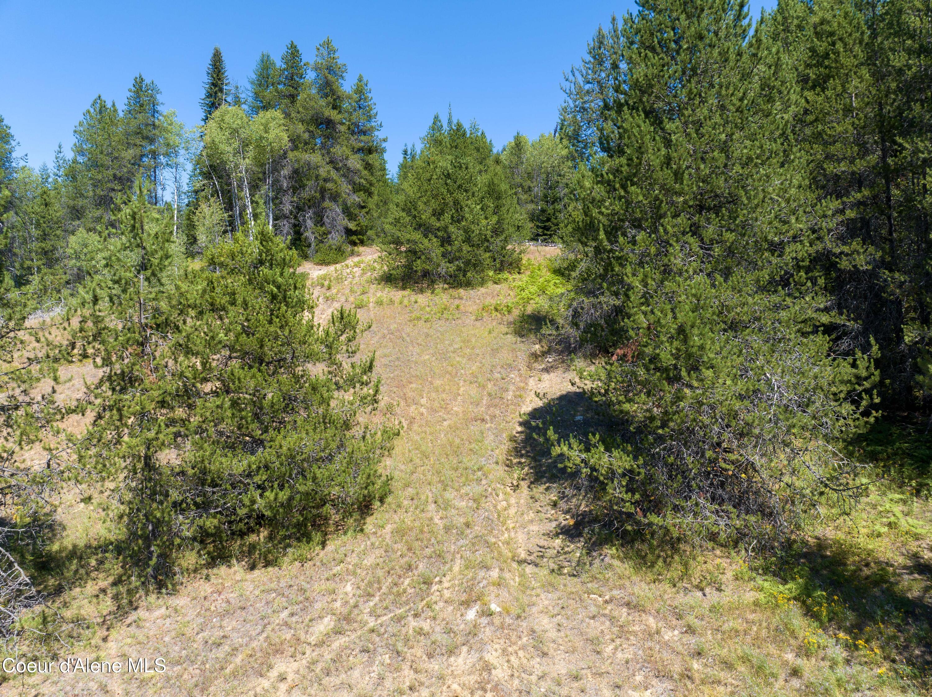 30-acres Lamb Creek Road Priest River, ID 83856 - Photo 4 of 12 Road up Lamb Up
