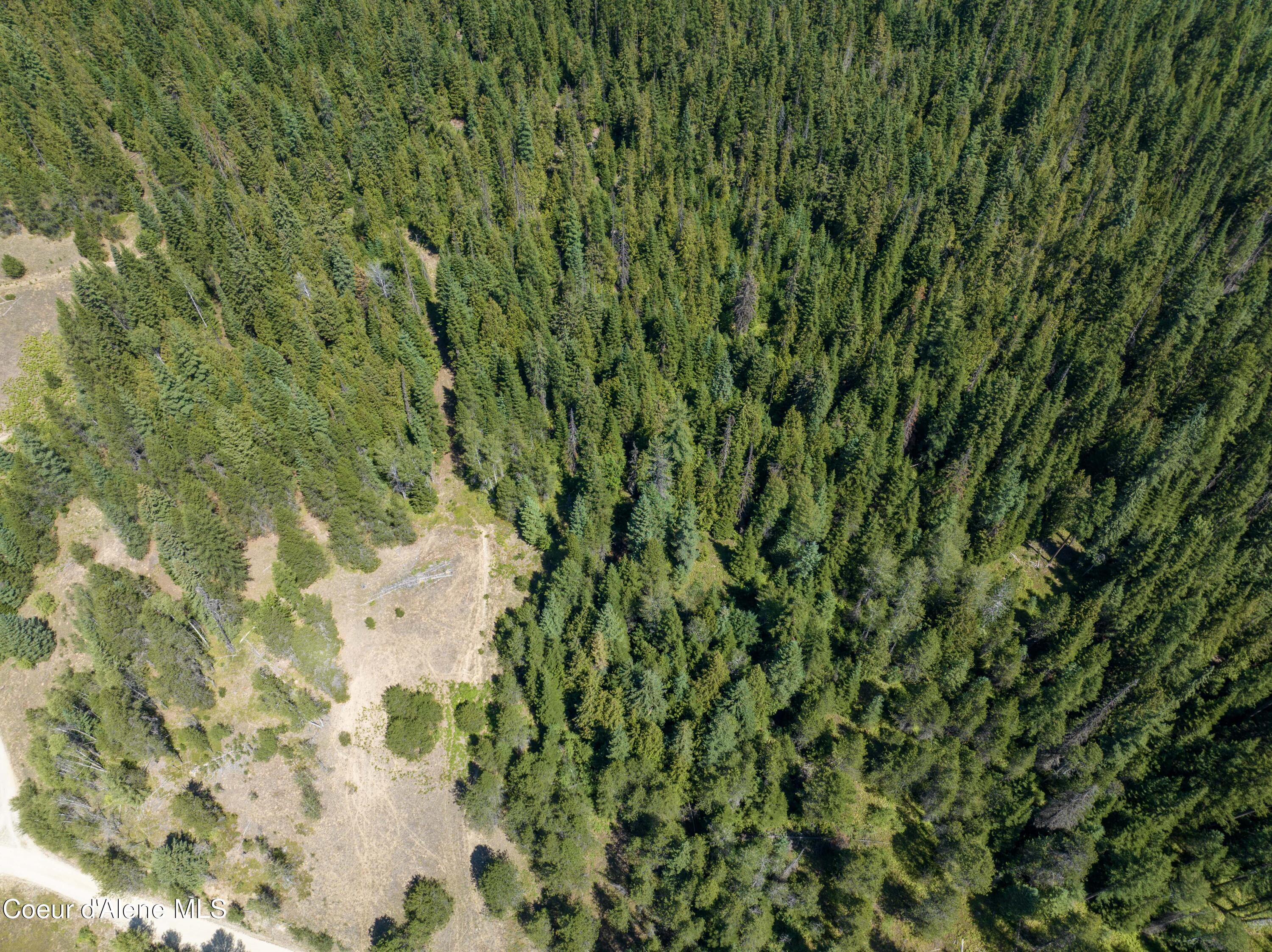 30-acres Lamb Creek Road Priest River, ID 83856 - Photo 6 of 12 Aerial