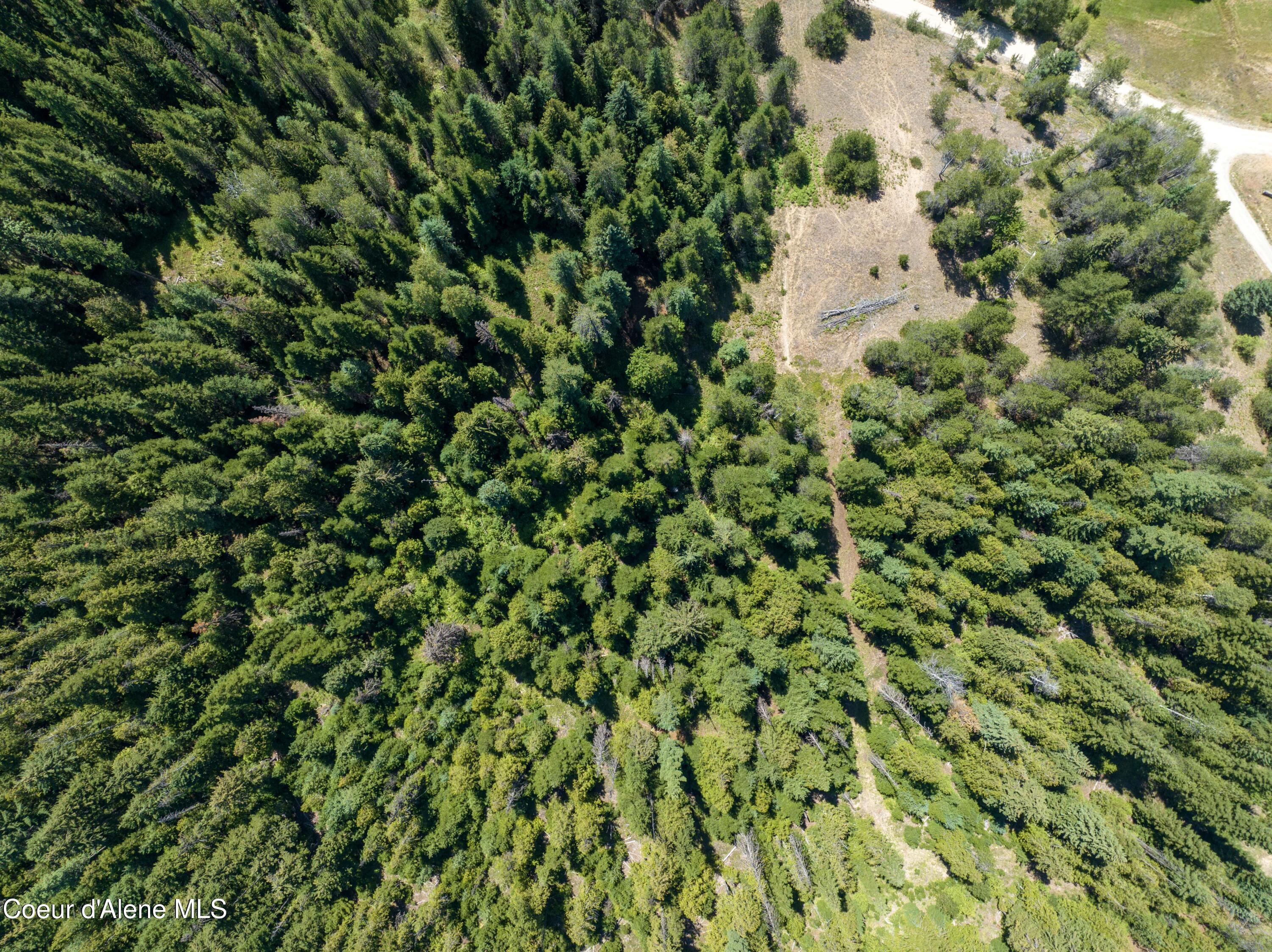 30-acres Lamb Creek Road Priest River, ID 83856 - Photo 7 of 12 Lamb Creek