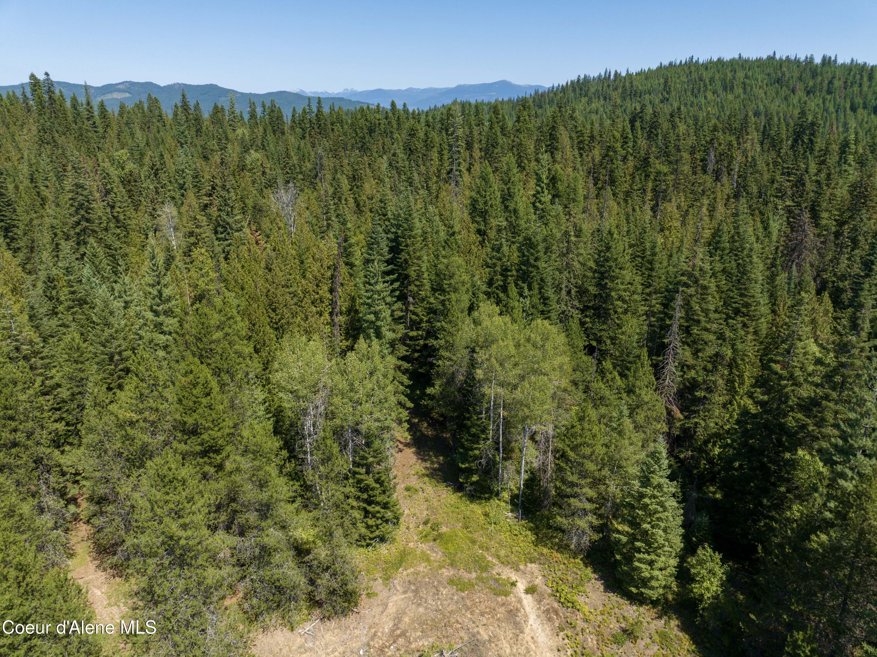 30-acres Lamb Creek Road Priest River, ID 83856 - Photo 9 of 12 Surrounded by USFS Land