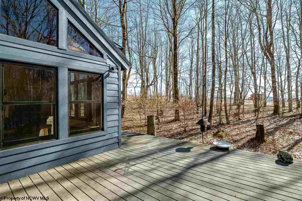 904 Flat Ridge Road Davis, WV 26260 - Photo 3 of 30 Gallery Image 3