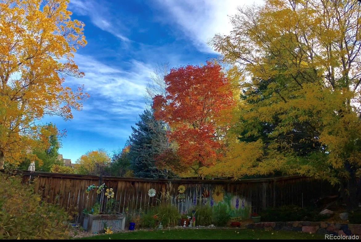 10152 Knoll Circle Highlands Ranch, CO 80130 - Photo 24 of 34 a view of a backyard
