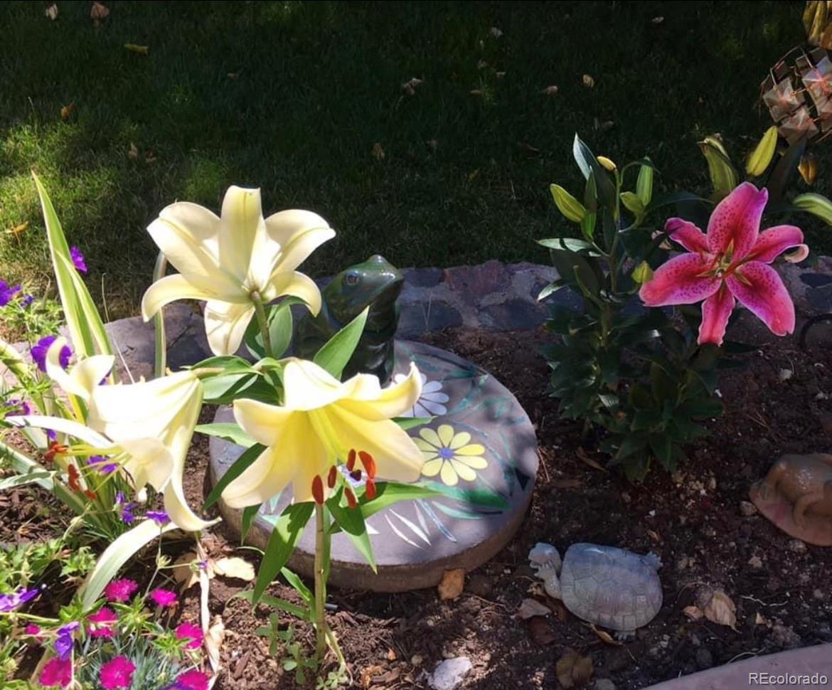 10152 Knoll Circle Highlands Ranch, CO 80130 - Photo 26 of 34 a front view of a house with a yard