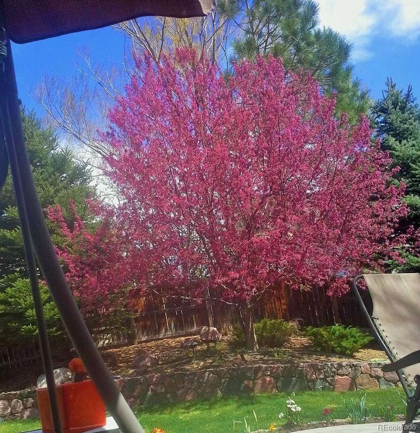 10152 Knoll Circle Highlands Ranch, CO 80130 - Photo 29 of 34 a backyard of a house with lots of green space