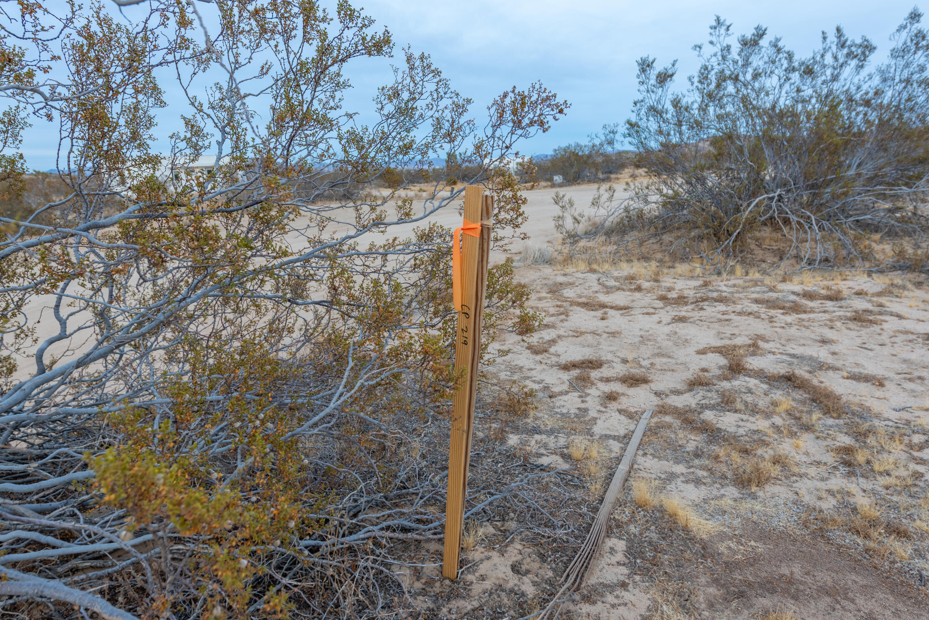 57755 Boo Lane Yucca Valley, CA 92284 - Photo 10 of 13