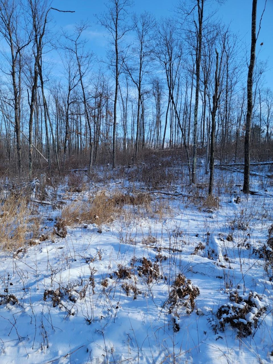 On Rollingwood Road Stone Lake, WI 54876 - Photo 18 of 32 Gallery Image 18