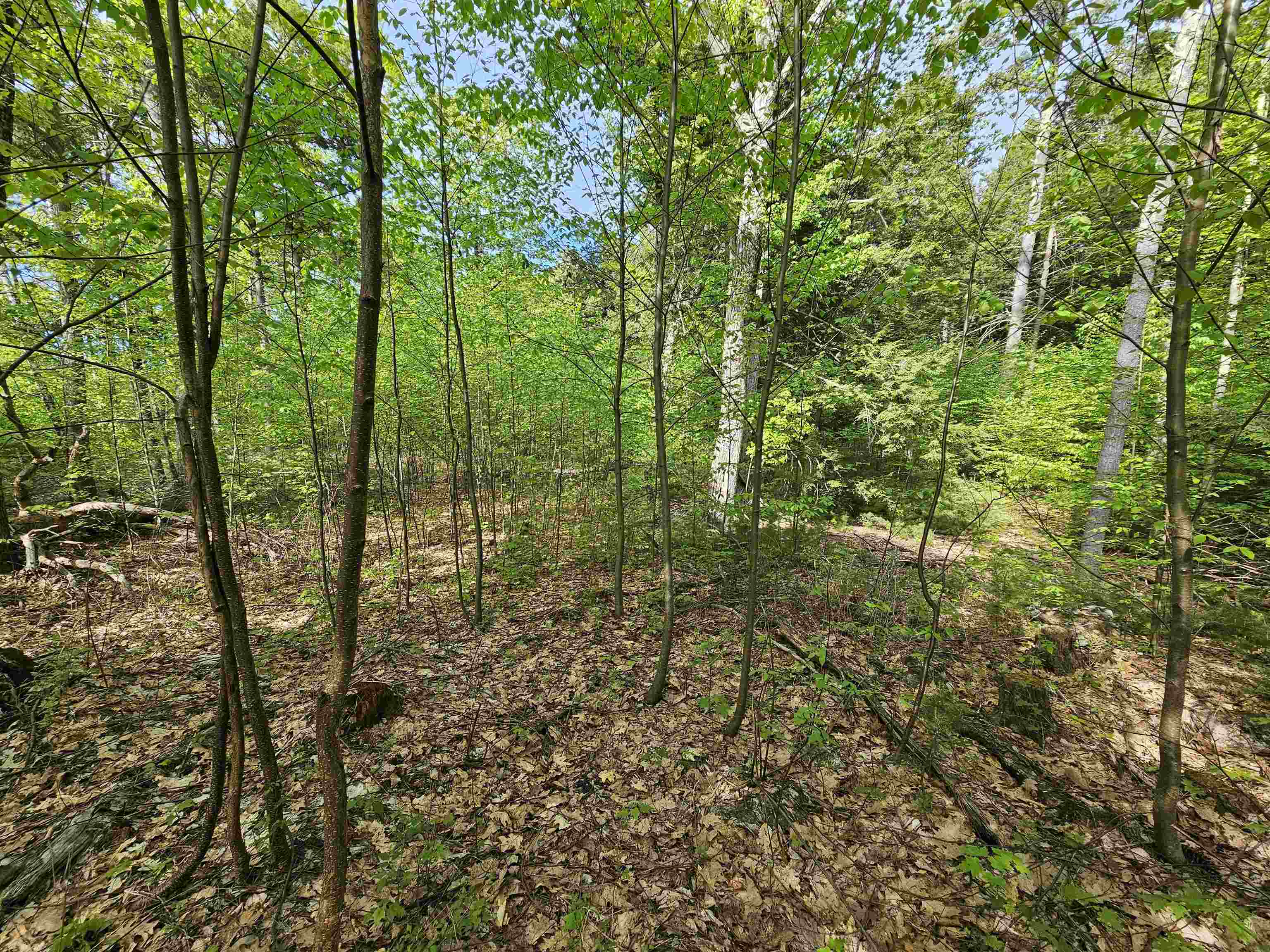 Lot 26 Province Road Belmont, NH 03220 - Photo 35 of 38 Gallery Image 35