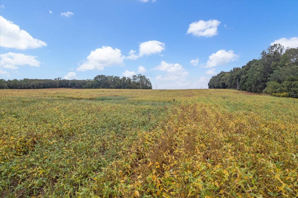 0 Nor-Nan Road Winchester, TN 37398 - Photo 20 of 30