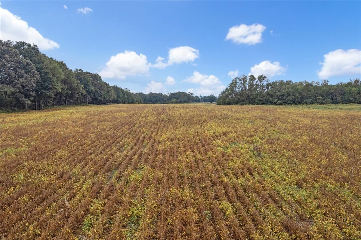 0 Nor-Nan Road Winchester, TN 37398 - Photo 21 of 30