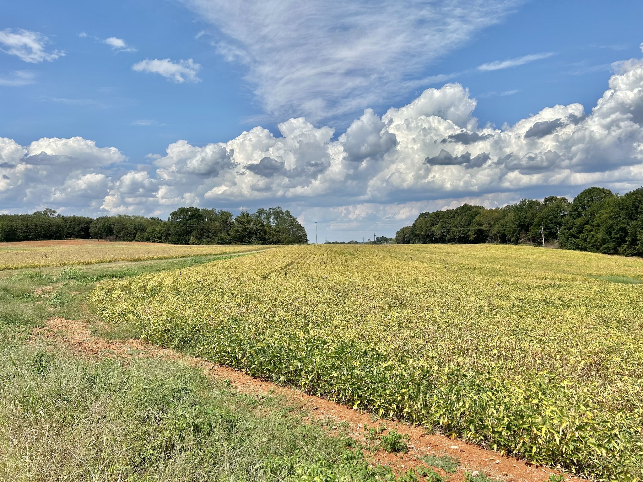 0 Nor-Nan Road Winchester, TN 37398 - Photo 4 of 30
