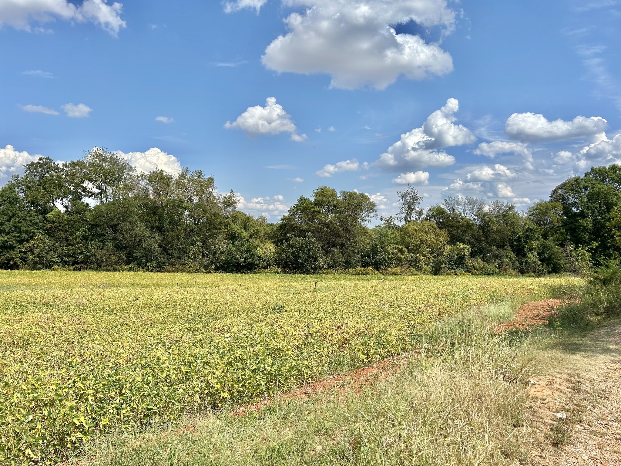 0 Nor-Nan Road Winchester, TN 37398 - Photo 5 of 30