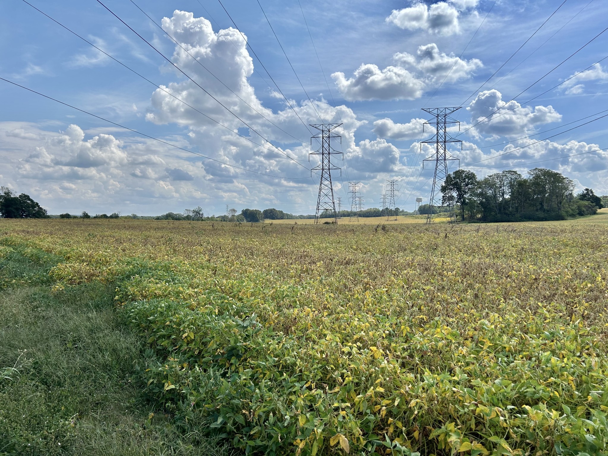 0 Nor-Nan Road Winchester, TN 37398 - Photo 8 of 30