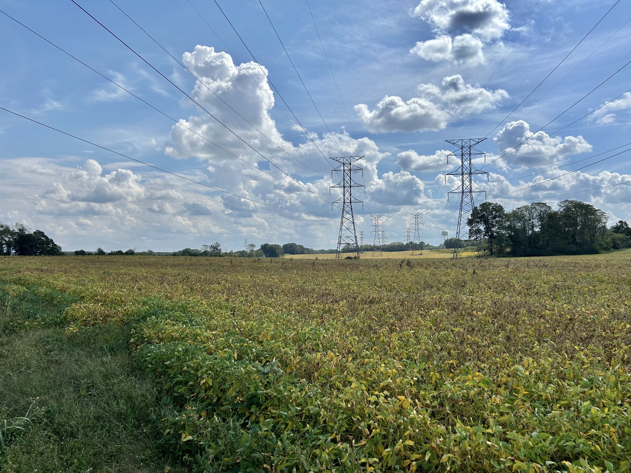 0 Nor-Nan Road Winchester, TN 37398 - Photo 9 of 30