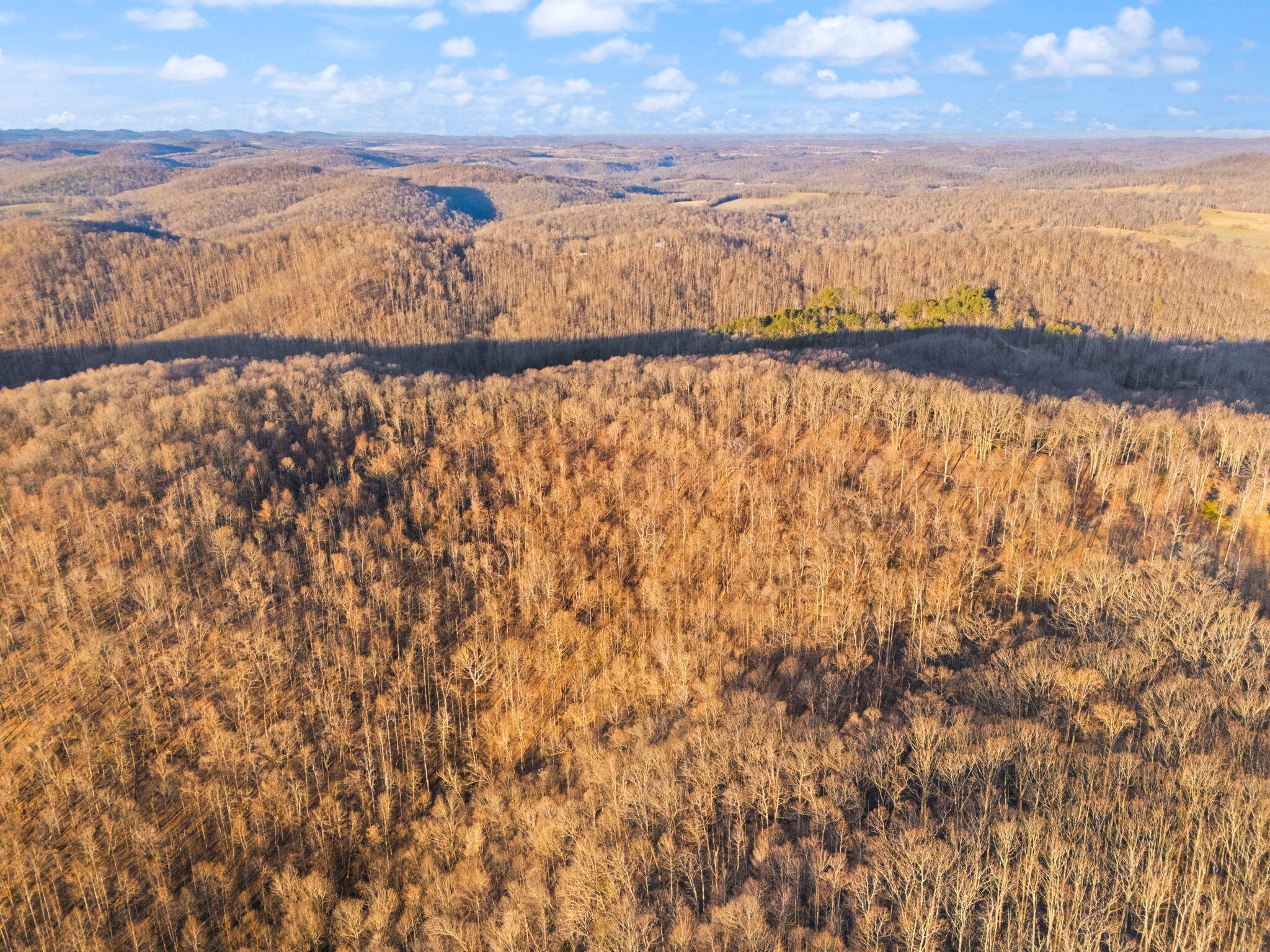 A & C Wildie Road Mount Vernon, KY 40456 - Photo 20 of 28 20-web-or-mls-DJI_20250310083632_0057_D