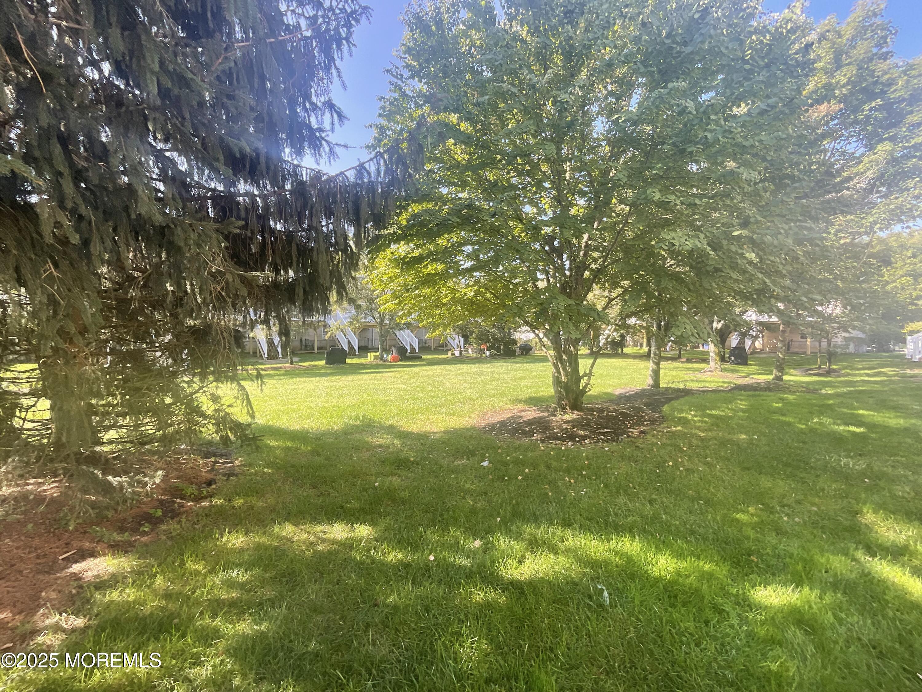 12 Abby Road, Unit 75 Farmingdale, NJ 07727 - Photo 20 of 20 a view of yard with trees