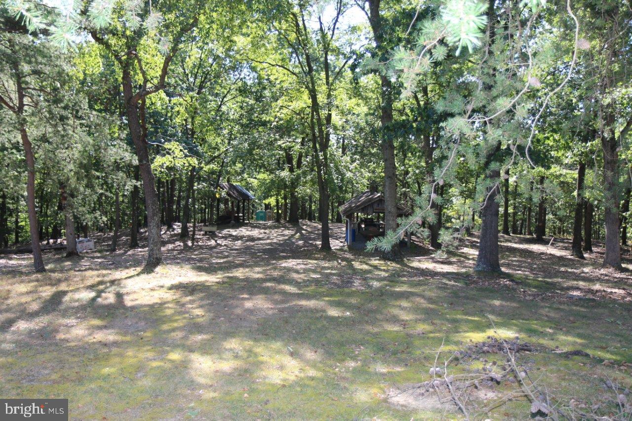 13677 Piney Ridge Road Huntingdon, PA 16652 - Photo 80 of 93 a view of outdoor space with trees