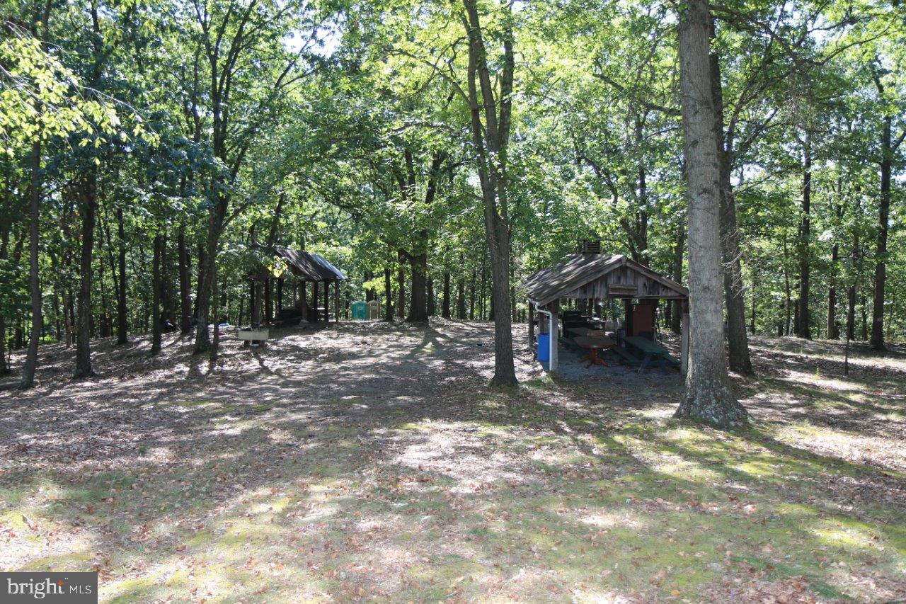 13677 Piney Ridge Road Huntingdon, PA 16652 - Photo 83 of 93 a view of a forest with trees in the background