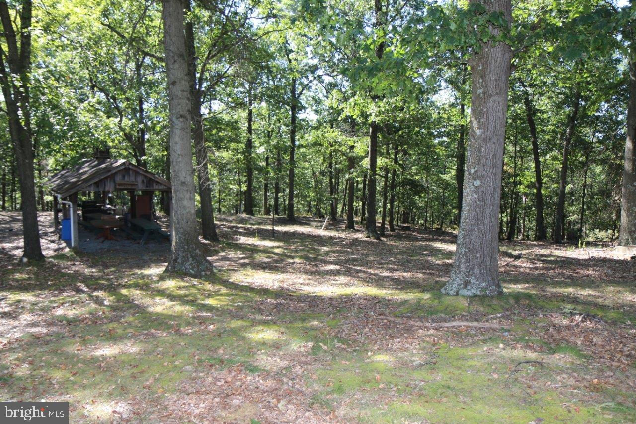 13677 Piney Ridge Road Huntingdon, PA 16652 - Photo 84 of 93 a view of outdoor space and trees
