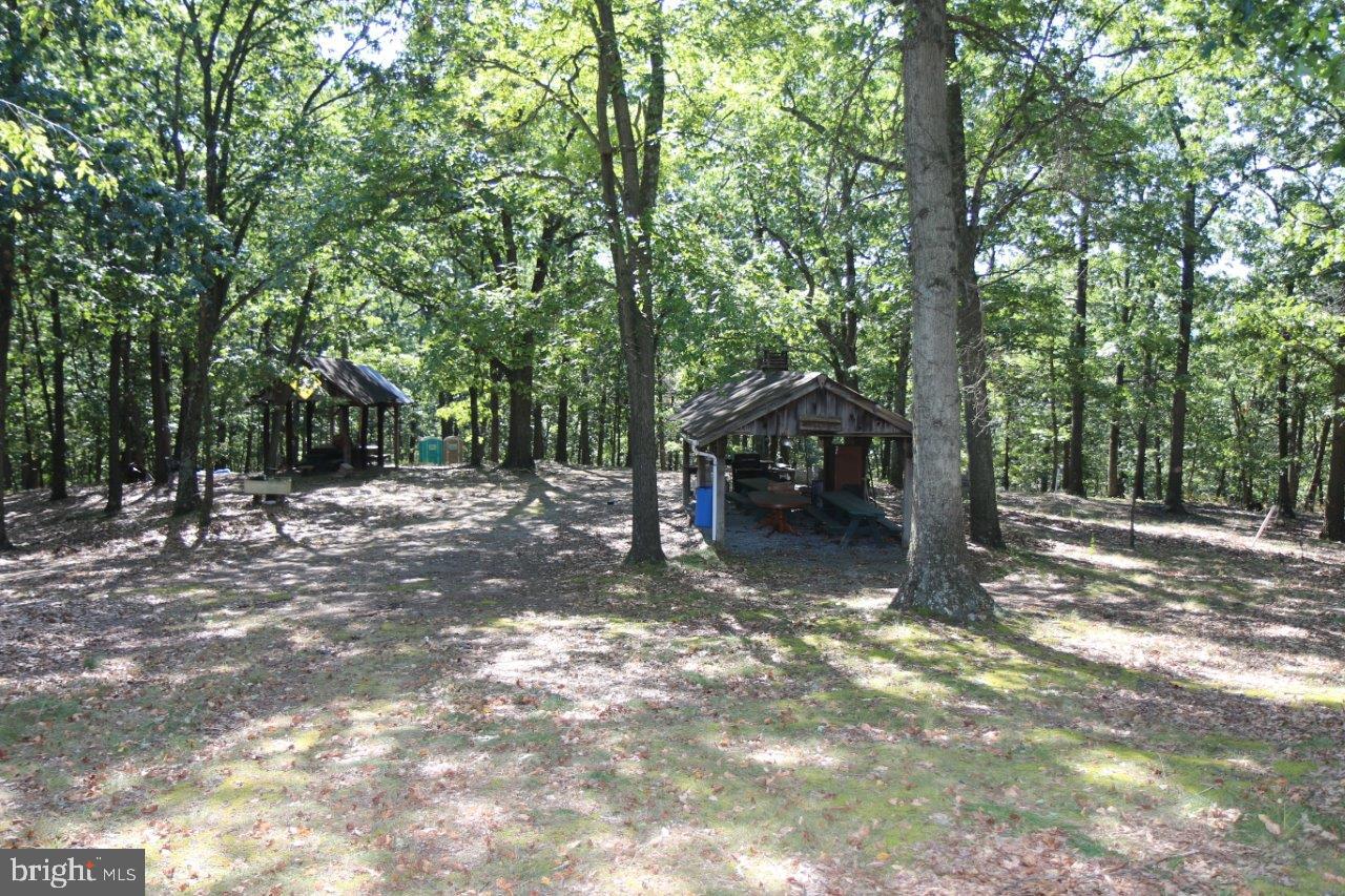 13677 Piney Ridge Road Huntingdon, PA 16652 - Photo 85 of 93 a view of a forest with trees in the background