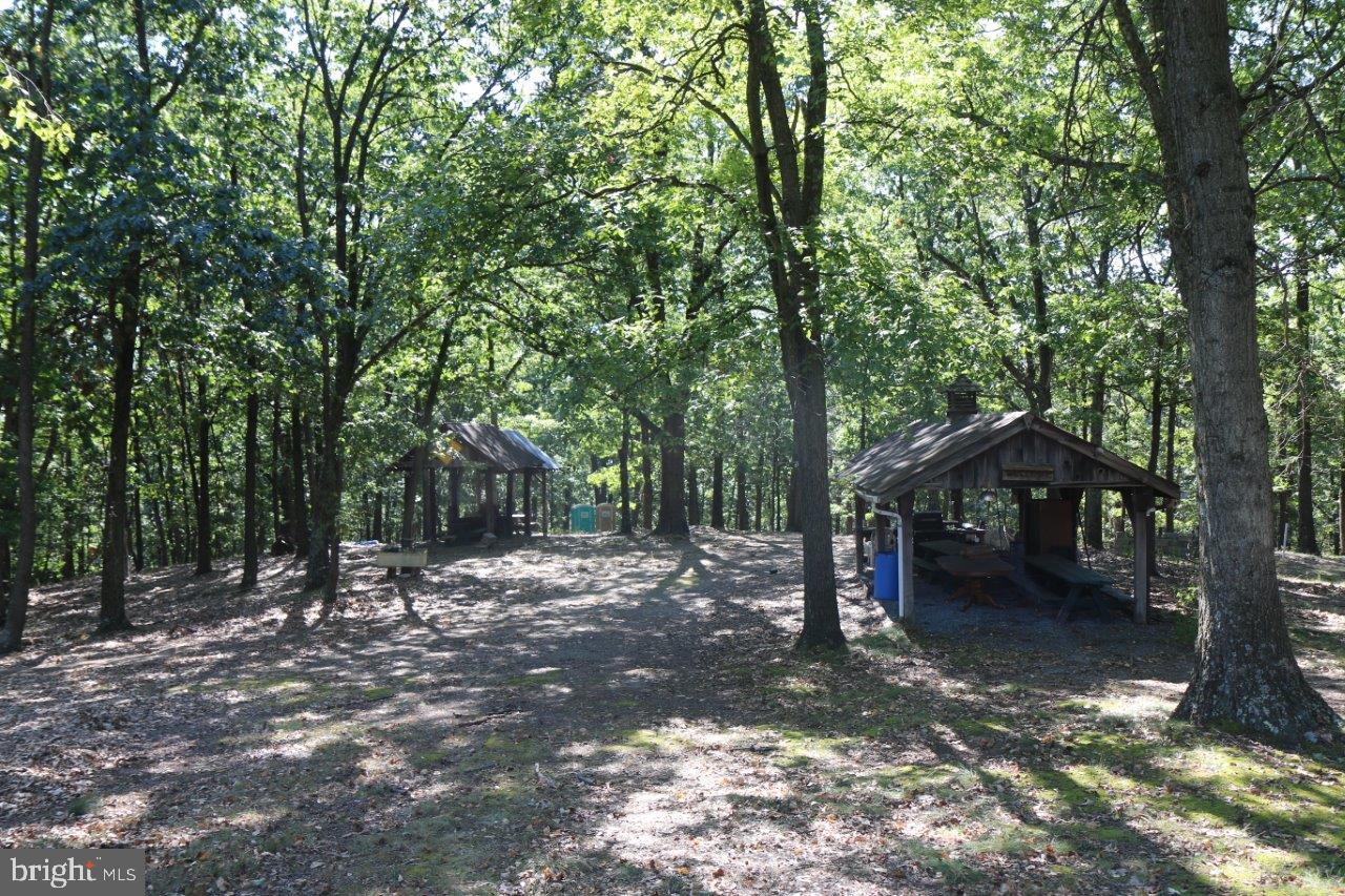 13677 Piney Ridge Road Huntingdon, PA 16652 - Photo 87 of 93 a view of a outdoor space with trees