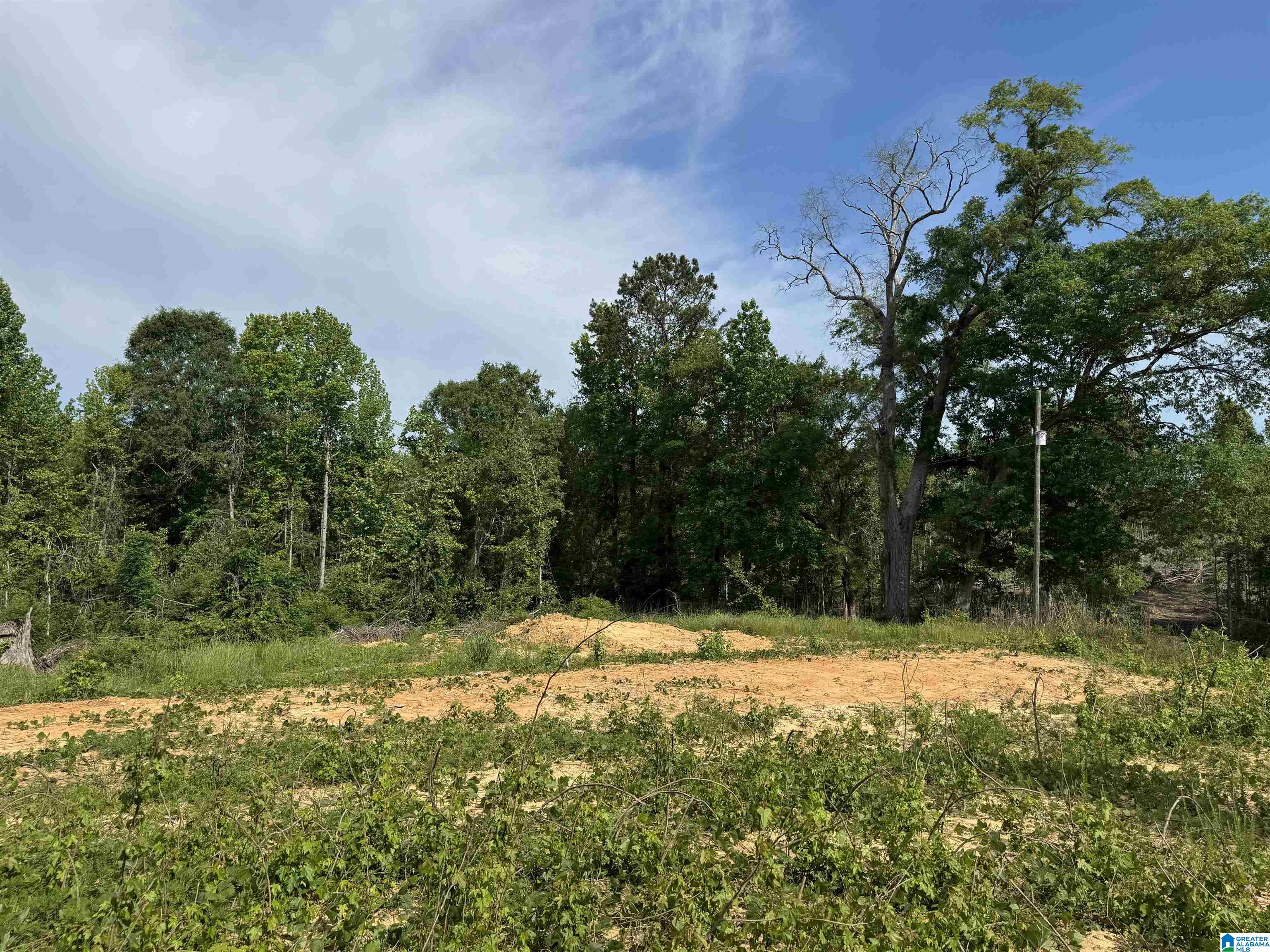Active Road, Unit 6 Lawley, AL 36793 - Photo 23 of 31 Gallery Image 23