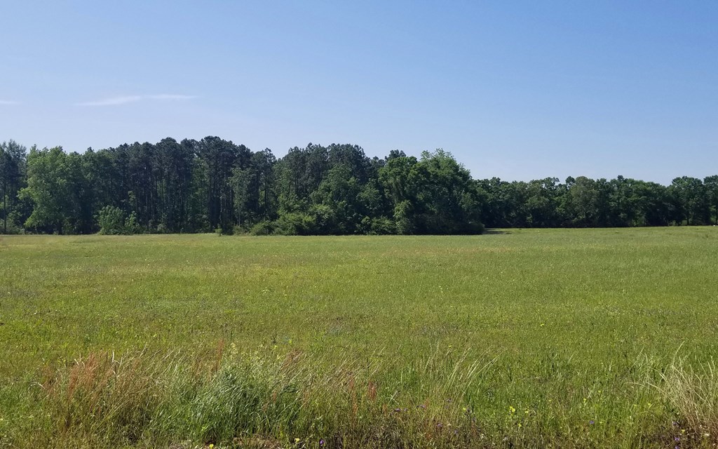 7-acres Hardy Road Dothan, AL 36301 - Photo 6 of 8