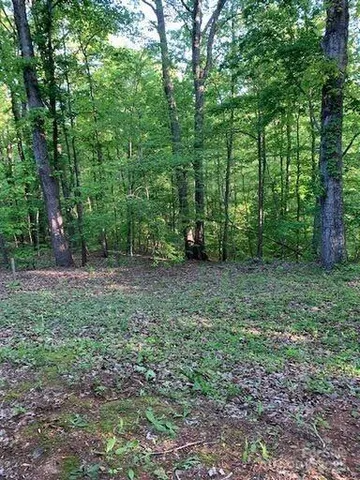 a view of a large yard with lots of green space
