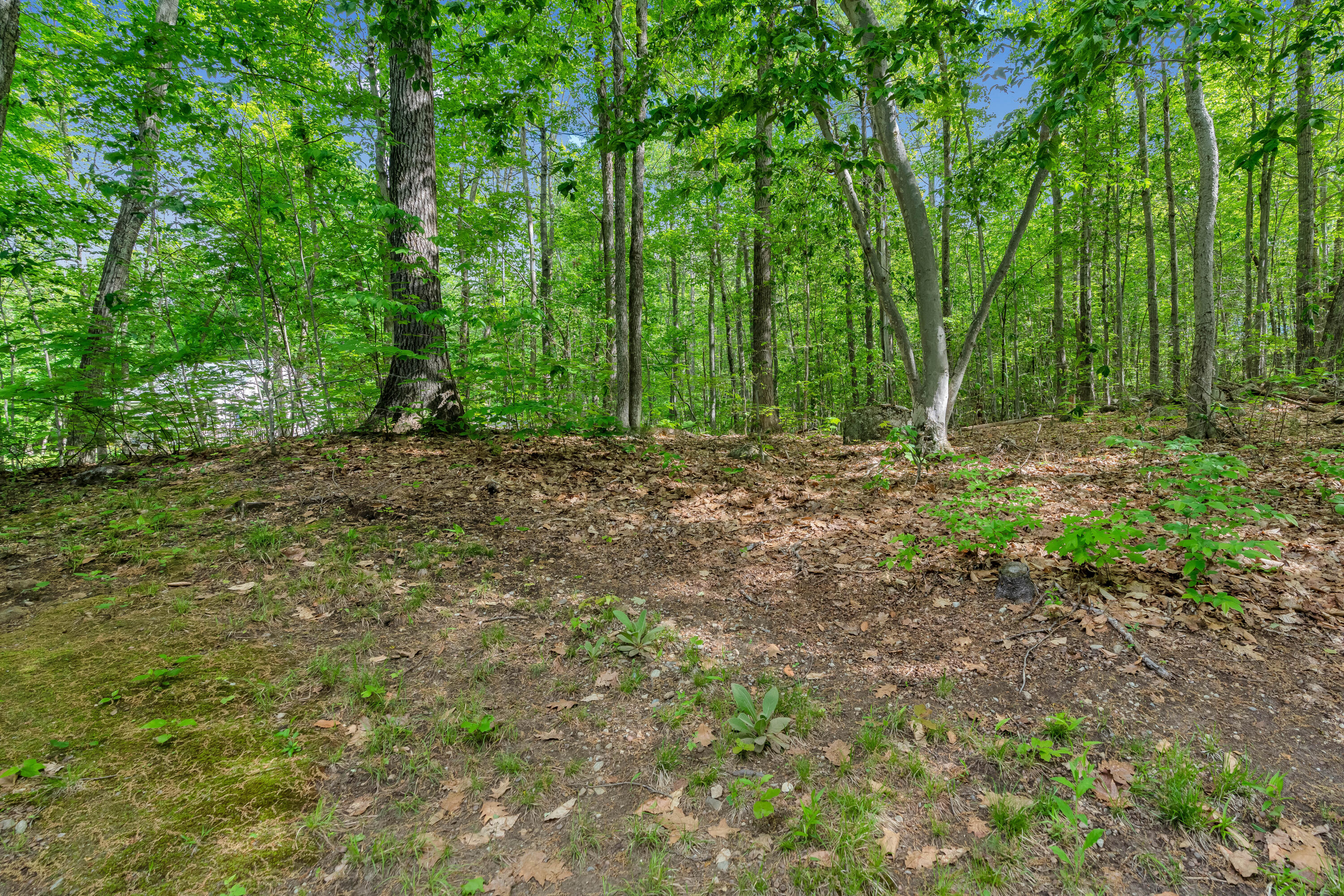 362 New Bridge Road Acton, ME 04001 - Photo 25 of 35 _DSC2492