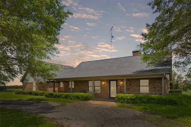 a view of a park with large trees