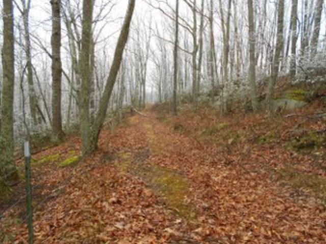 0 Barnes Mountain Road Irvine, KY 40336 - Photo 1 of 1 Photo 1