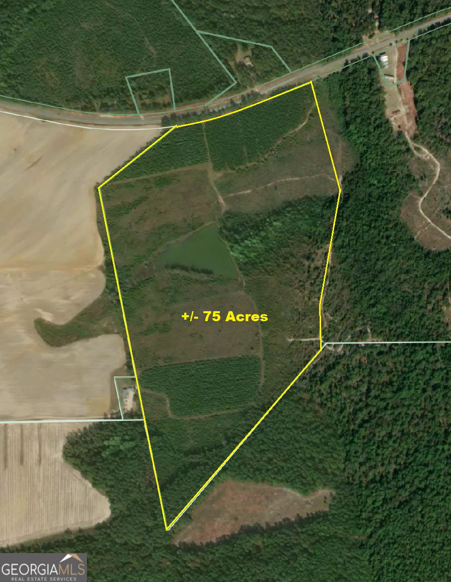 0 Sardis Church Road Kite, GA 31049 - Photo 1 of 8 a view of a tennis court