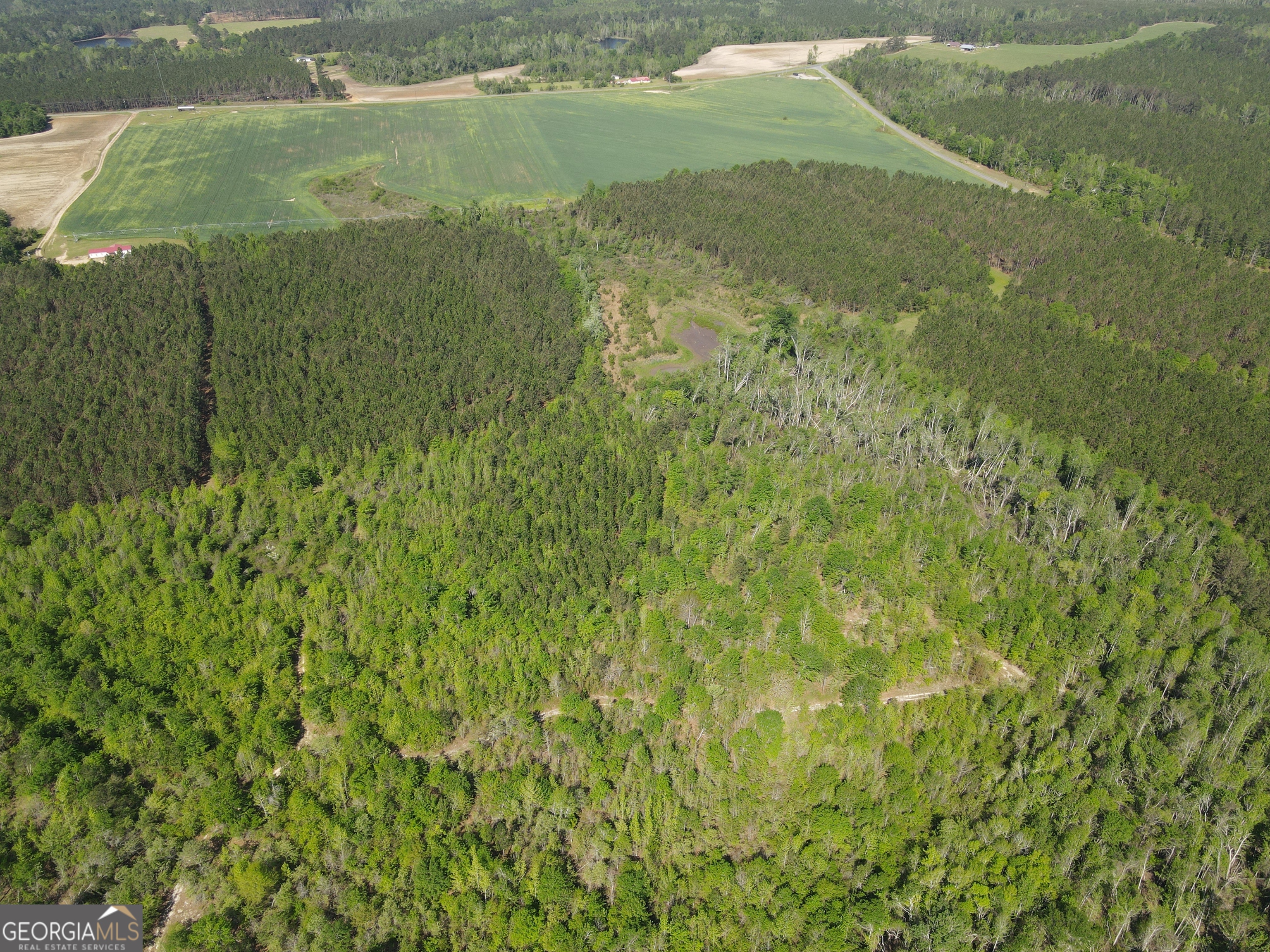 0 Sardis Church Road Kite, GA 31049 - Photo 2 of 8 a view of a big yard