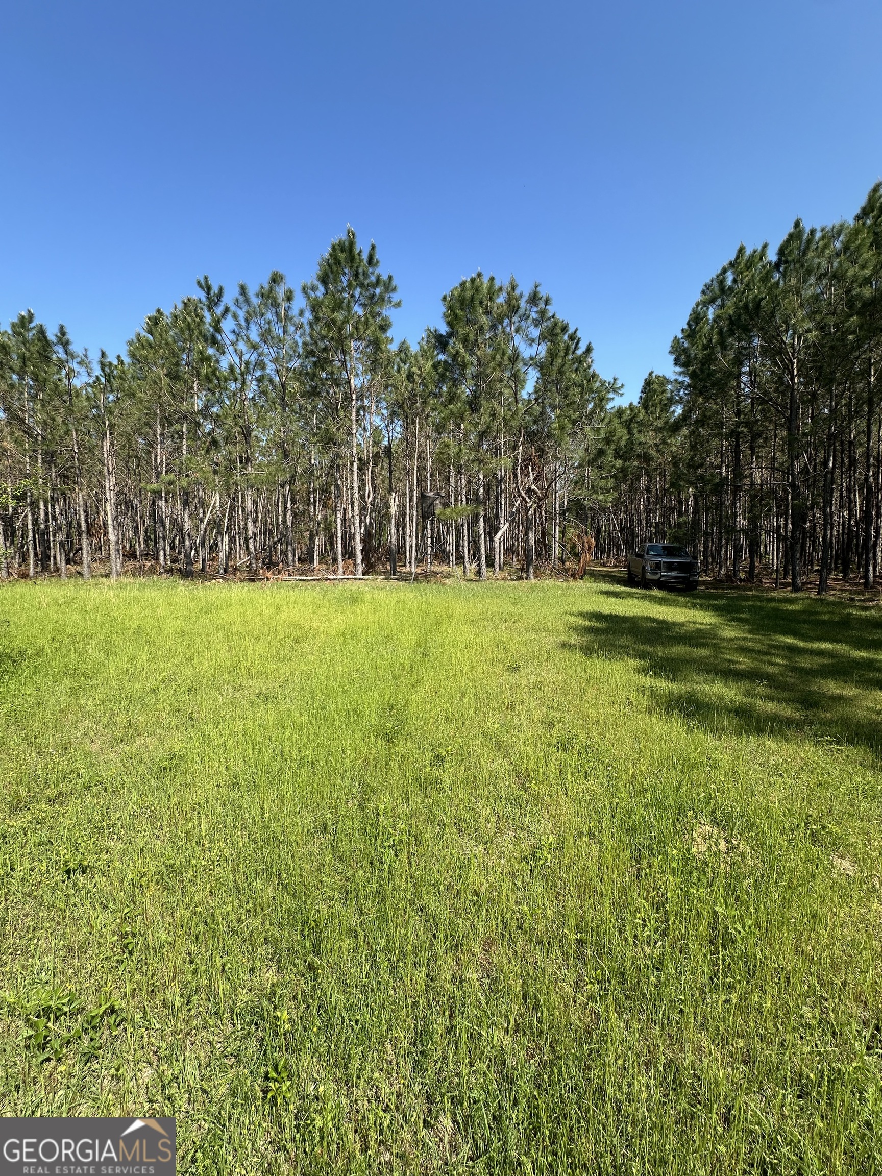 0 Sardis Church Road Kite, GA 31049 - Photo 4 of 8 a view of a grassy field with trees in the background