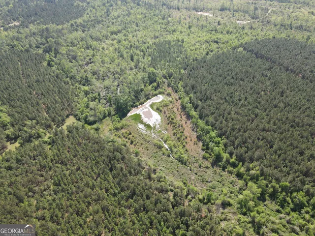 a map view of a forest