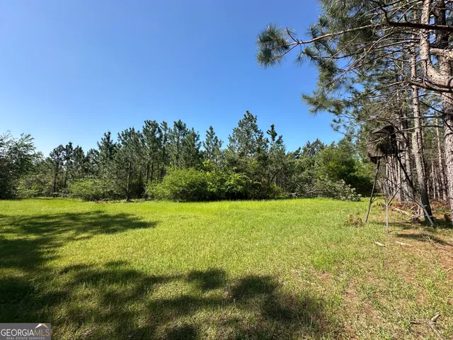 a view of field with trees in the background