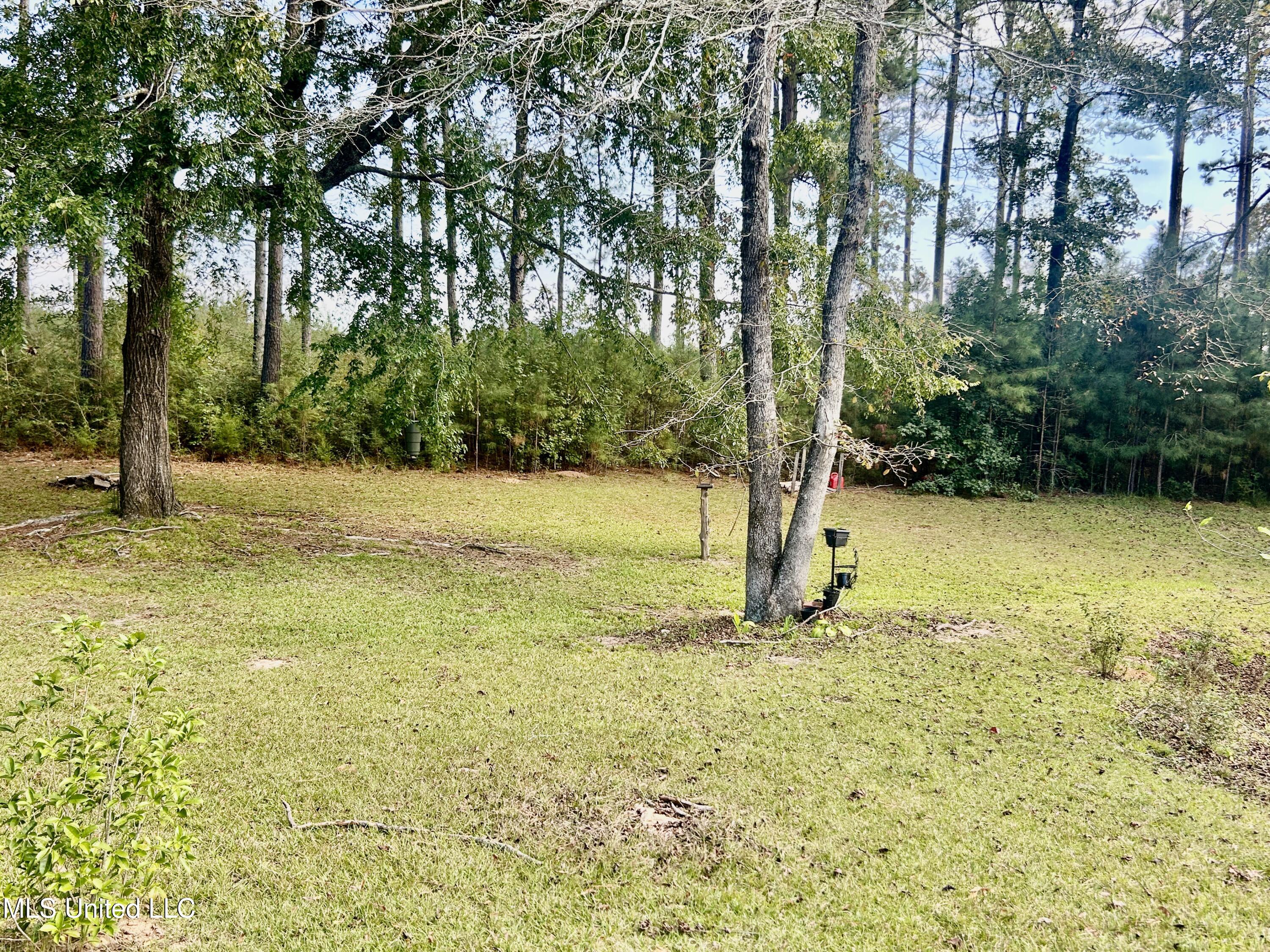 1184 Hawthorne Drive McComb, MS 39648 - Photo 39 of 39 IMG_6411