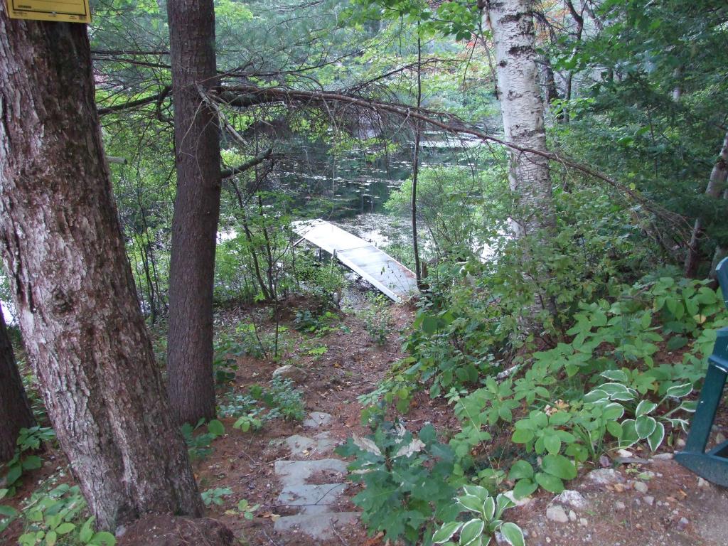 271 Old Forest Road Stoddard, NH 03464 - Photo 26 of 31