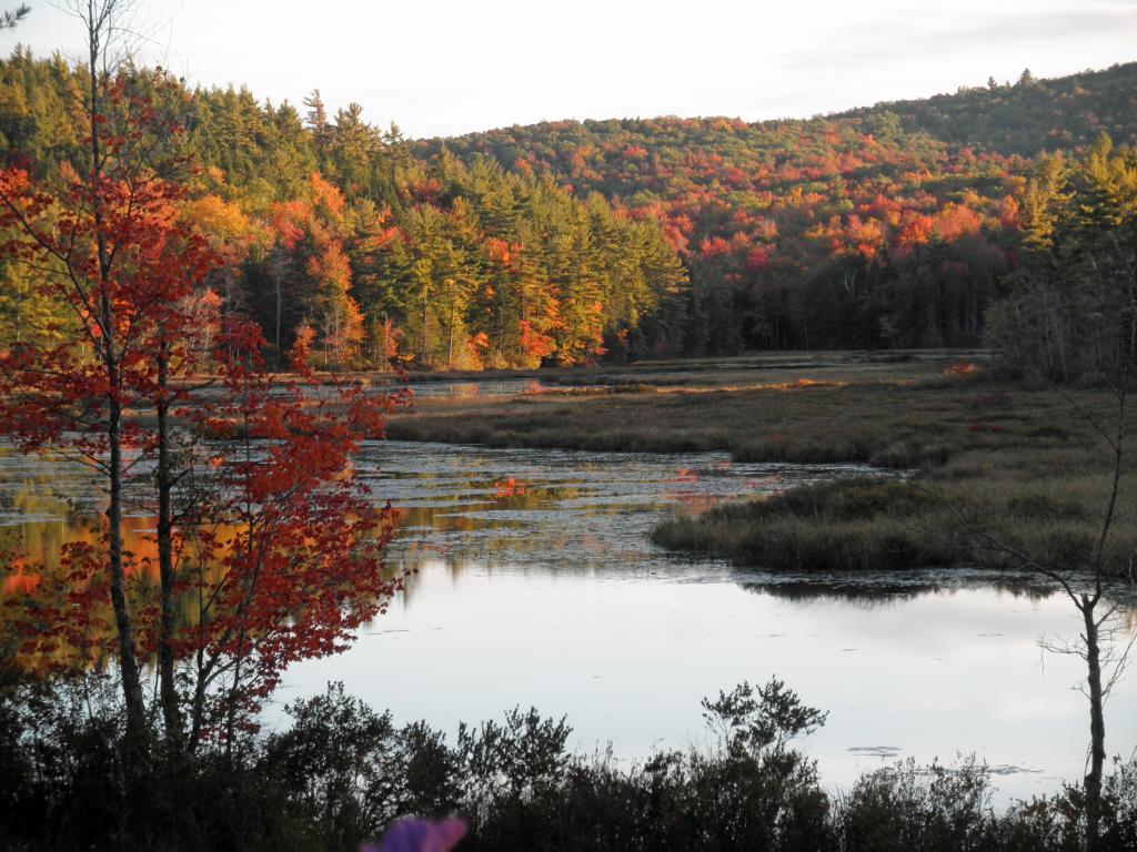 271 Old Forest Road Stoddard, NH 03464 - Photo 28 of 31