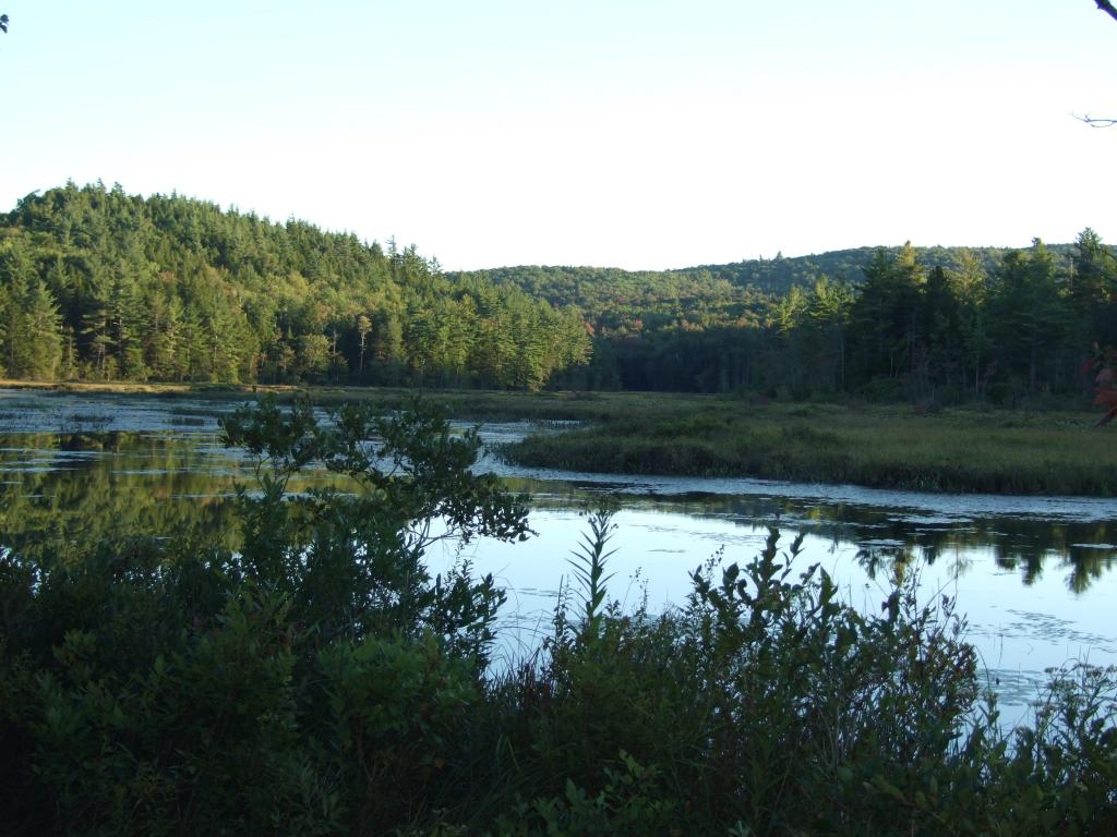 271 Old Forest Road Stoddard, NH 03464 - Photo 30 of 31