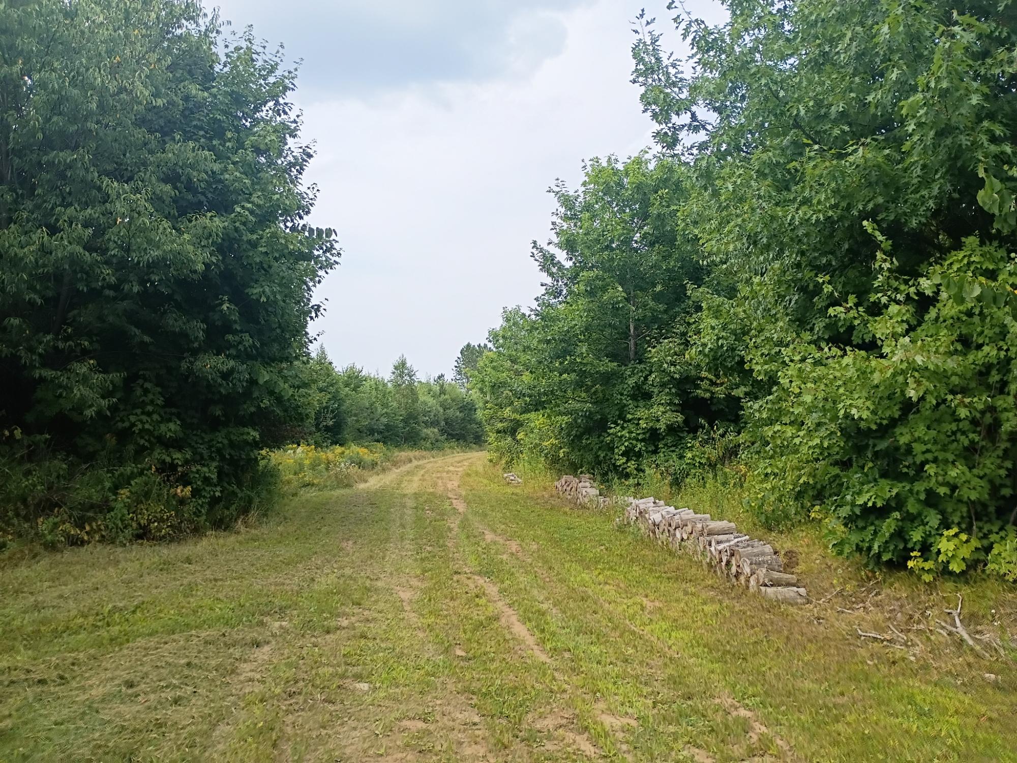 280-ac West Road Butternut, WI 54514 - Photo 14 of 33 Gallery Image 14