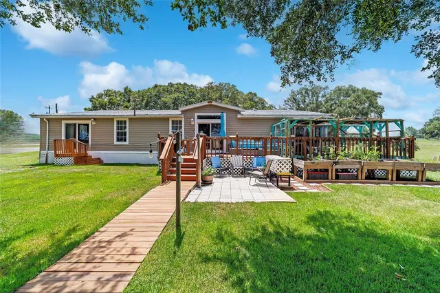a view of a park with large trees