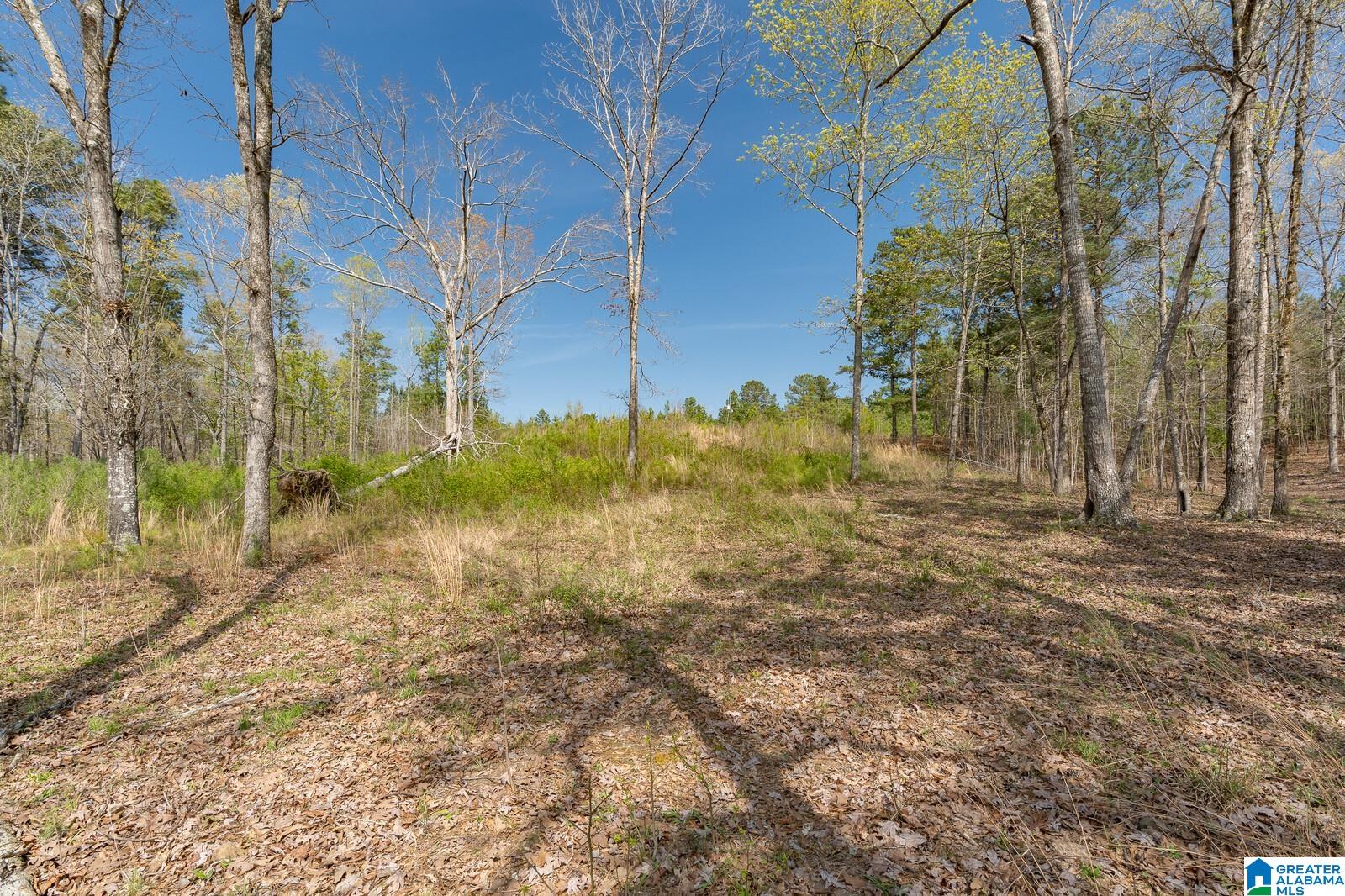 Stillwaters Trail, Unit 180 Sylacauga, AL 35151 - Photo 8 of 30