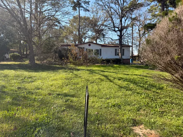 a tree in a yard next to a building